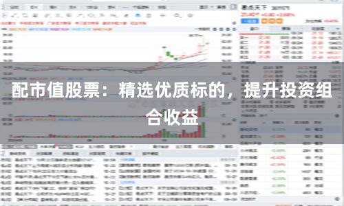配市值股票：精选优质标的，提升投资组合收益